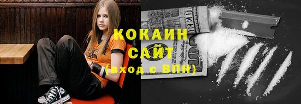 винт Абаза