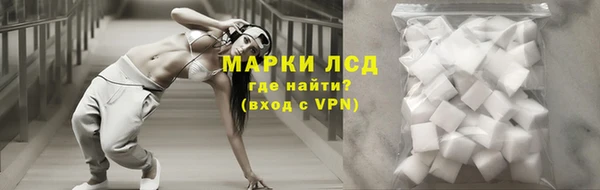 винт Абаза