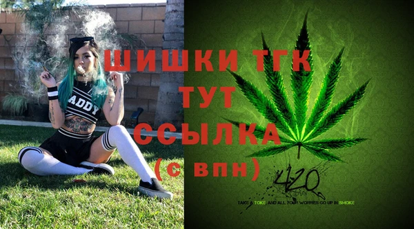 ешки Алексеевка