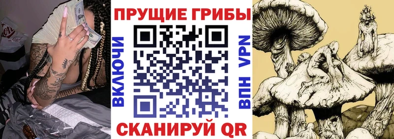 ссылка на мегу онион  Ивантеевка  Псилоцибиновые грибы мицелий  магазин продажи наркотиков 